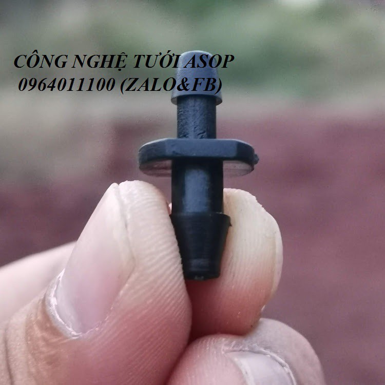 100 KHỞI THỦY 6MM
