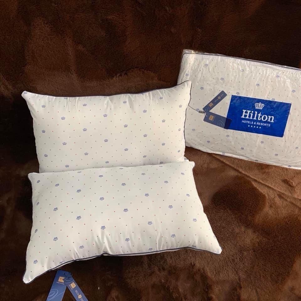 Cặp ruột gối nằm nhập khấu Hilton chuẩn loại 1 - chuẩn khách sạn 5 sao kích thước 50x70cm