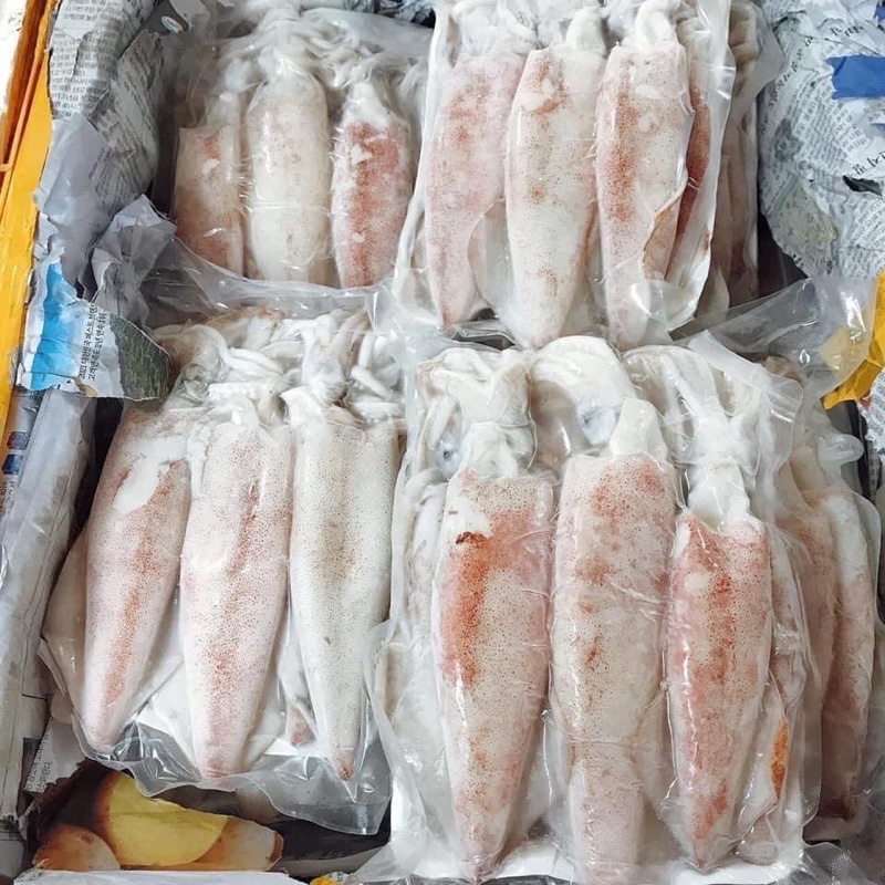Mực ống  khay 500gr sz 5-6 con