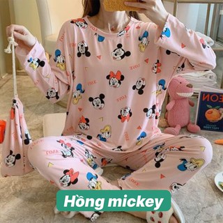 Xả Lỗ Thu Hồi Vốn Bộ Ngủ Dài Tay Dễ Thương Có Túi Đựng [QA020]