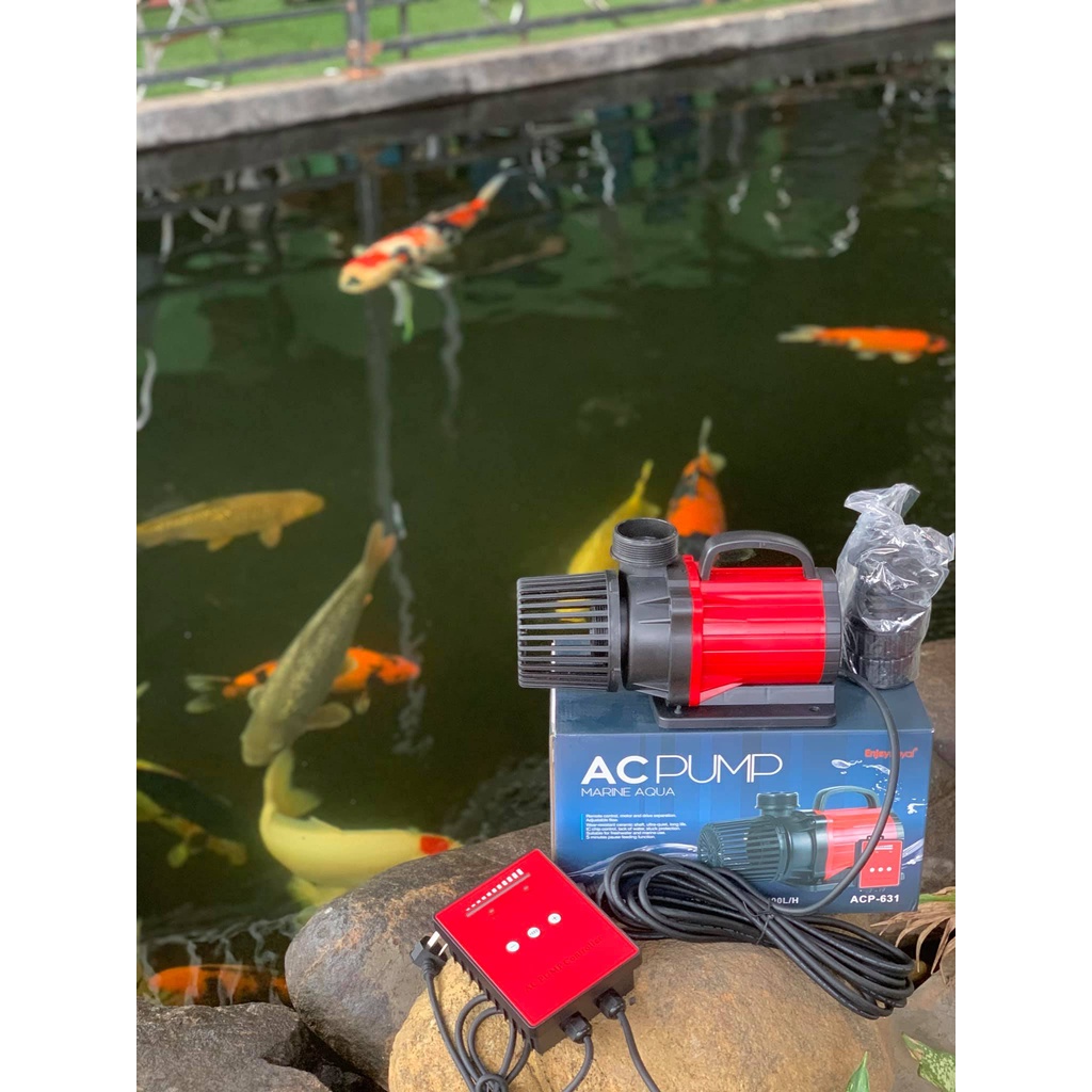 Máy bơm ac pump 9000 12000 15000 20000 25000 30000 40000 Hồ cá Koi