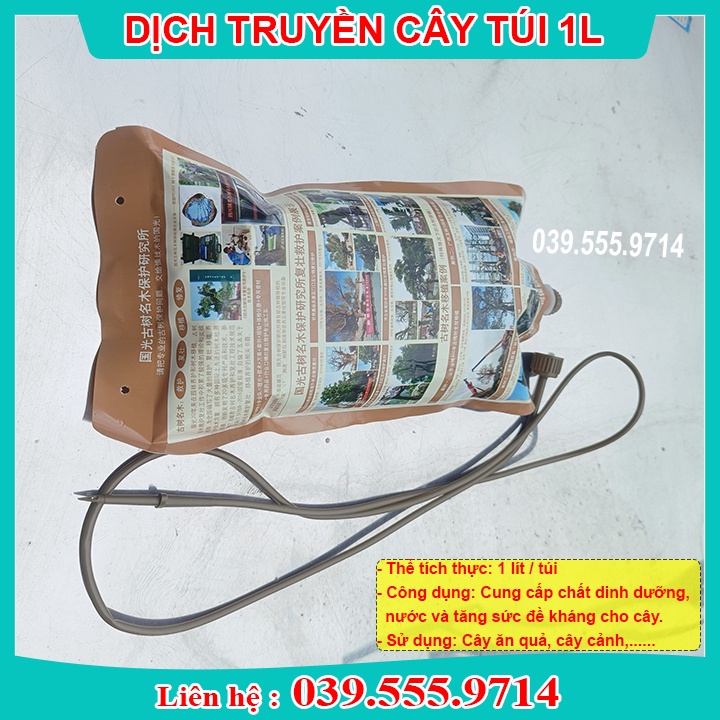 DỊCH TRUYỀN DINH DƯỠNG TRỀN CHO CÂY GÓI  - CUNG CẤP DINH DƯỠNG CHO CÂY