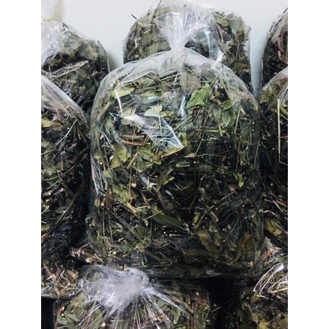 Cao cô đặc từ lá chè vằng 1kg
