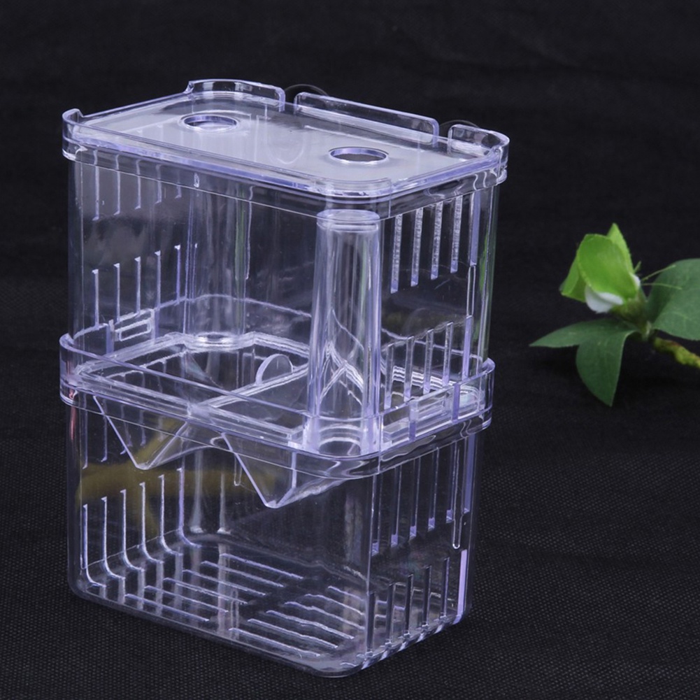 Hộp Ấp Trứng Cá Hai Lớp Bằng Acrylic Trong Suốt