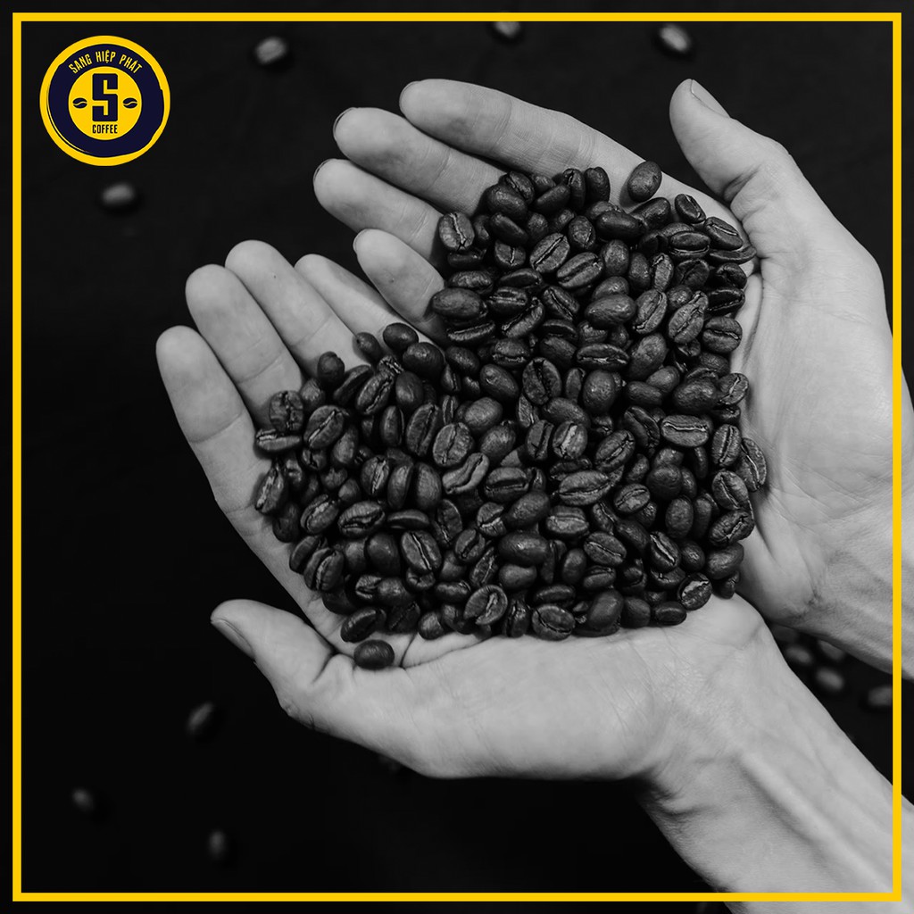 Cà phê Robusta & Culi nguyên chất rang mộc 100% vị đắng mạnh hậu ngọt thơm nồng dùng pha phin từ SaTi Coffee | BigBuy360 - bigbuy360.vn