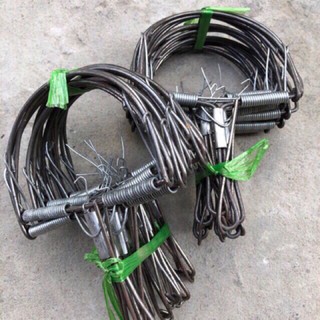 Combo 20 bẫy chuột hình bán nguyệt loại nhỡ 13,5x18cm