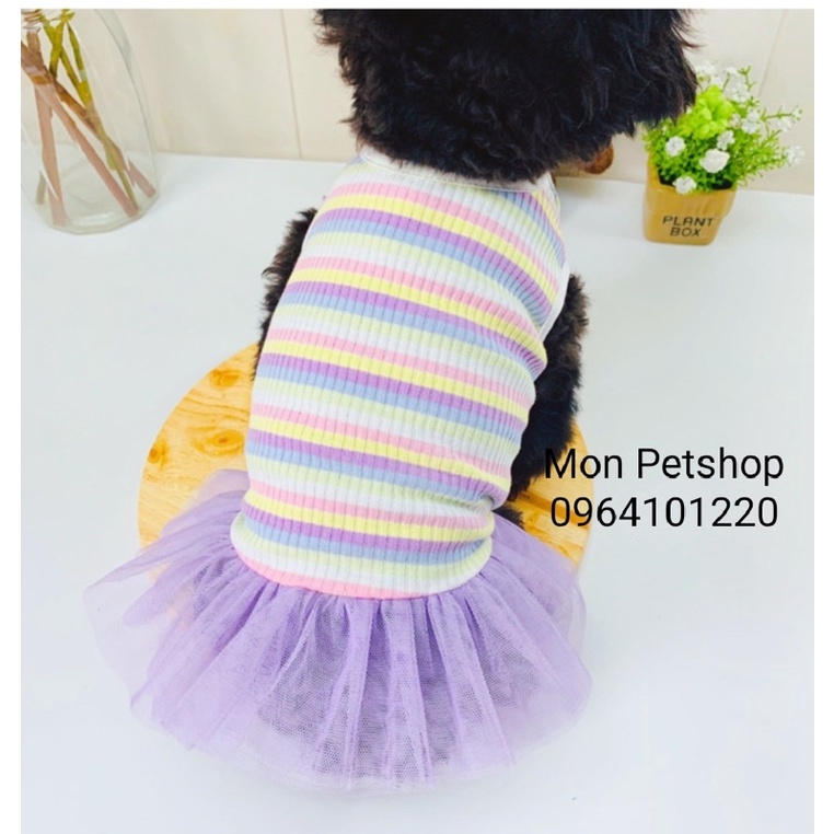 Váy thun len tăm cầu vồng cho thú cưng