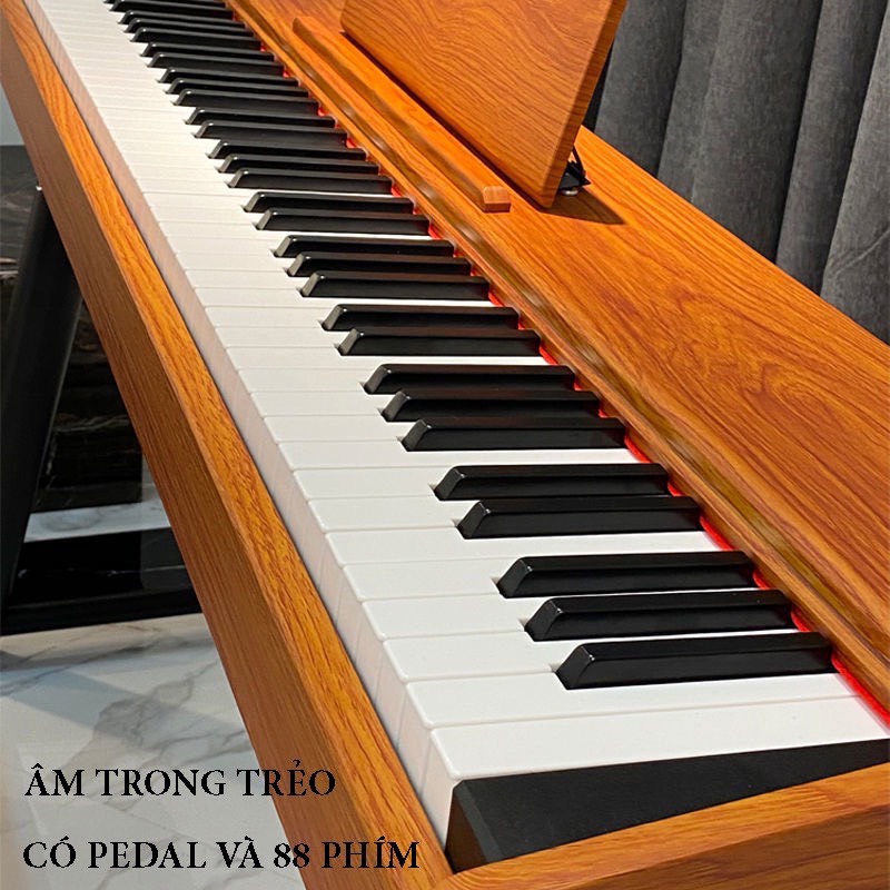 Đàn Piano gỗ, đàn Organ điện tử 88 phím, âm thanh siêu trong, thiết kế hiện đại, dễ dàng di chuyển mang theo