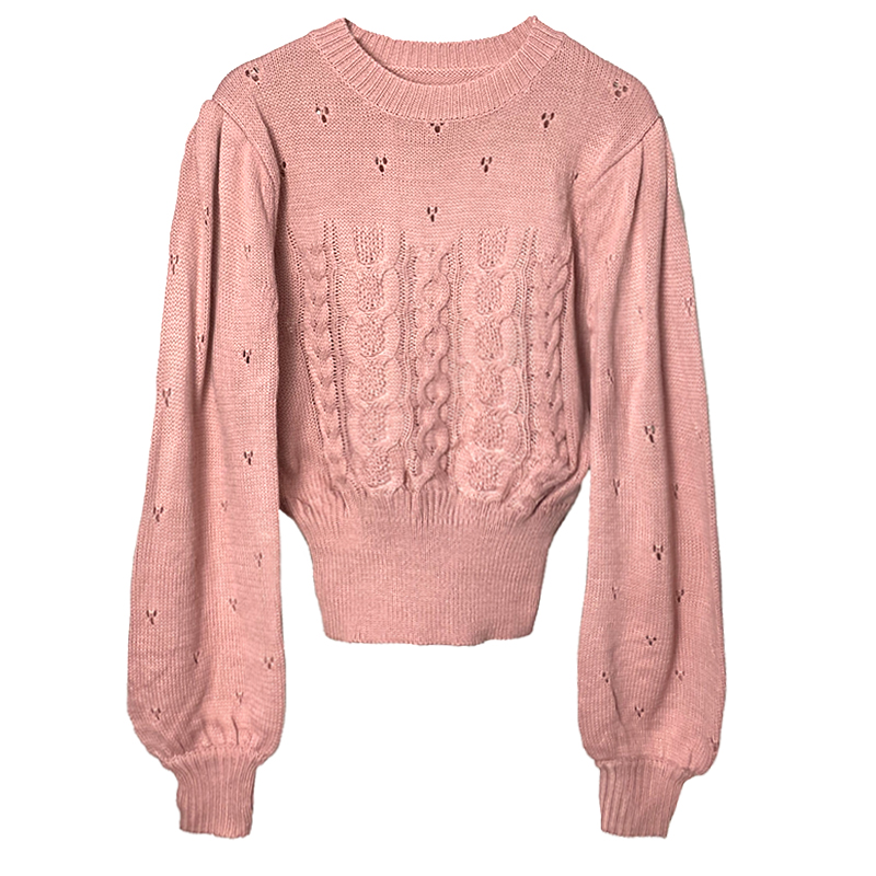 Áo sweater cổ tròn họa tiết hoa dễ thương hợp thời trang  | BigBuy360 - bigbuy360.vn