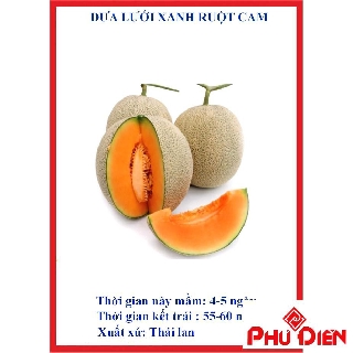 20 hạt giống dưa lưới xanh ruột cam  PHÚ ĐIỀN