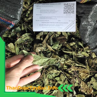 Cây Xạ Đen Hòa Bình [1Kg]