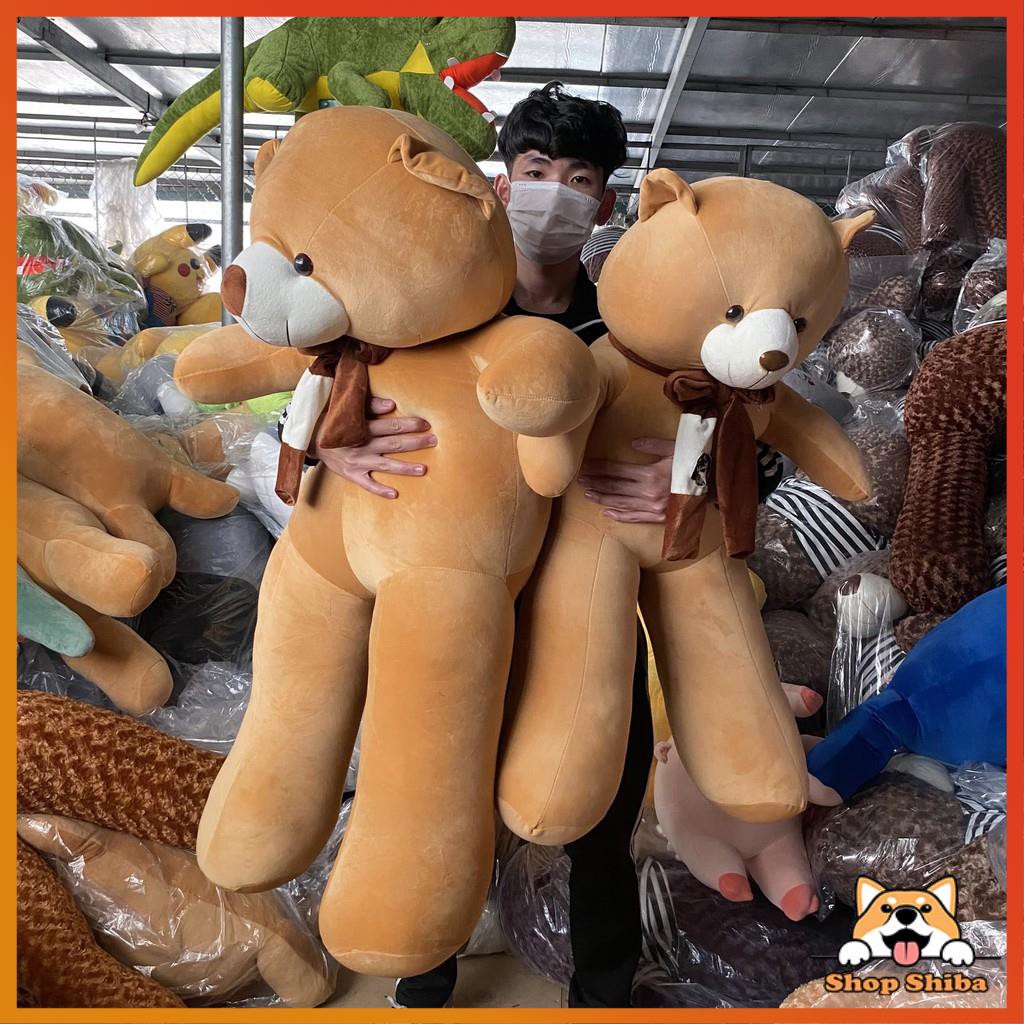 Gấu Bông Teddy Khăn 1M3 Siêu Mềm Mịn - Vải Nhung Co Giãn 4 Chiều