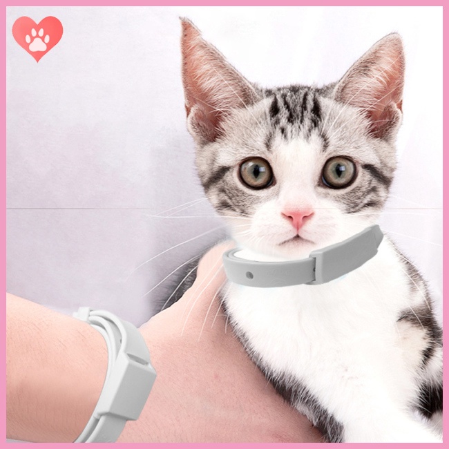 COD Pet  Anti  Flea  Prevention  Collar Soft Waterproof Insect Repellent Collars For Cat Dog