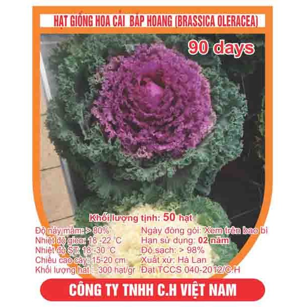 Hạt giống hoa cải bắp hoang