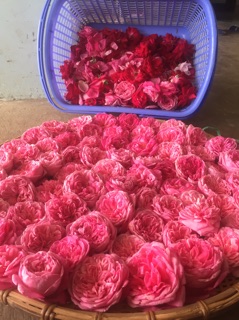 Nước cất hoa hồng HandMade