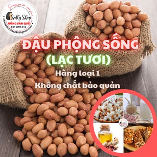 Đậu Phộng Sống Hữu Cơ SallFood 1kg Lạc Nhân Tươi Không Chất Bảo Quản Shop Nông Sản Quê Sạch Sally Food