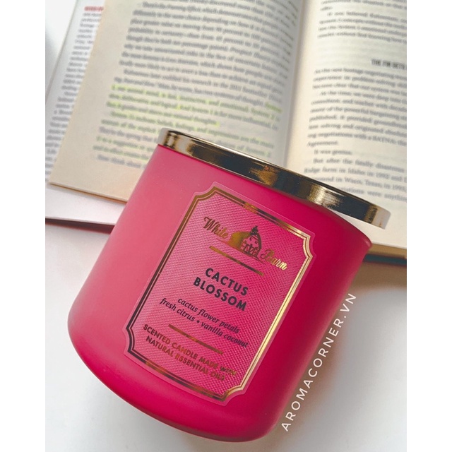 Bộ sưu tập nến 3 bấc Bath&Bodyworks vỏ lì 411gr