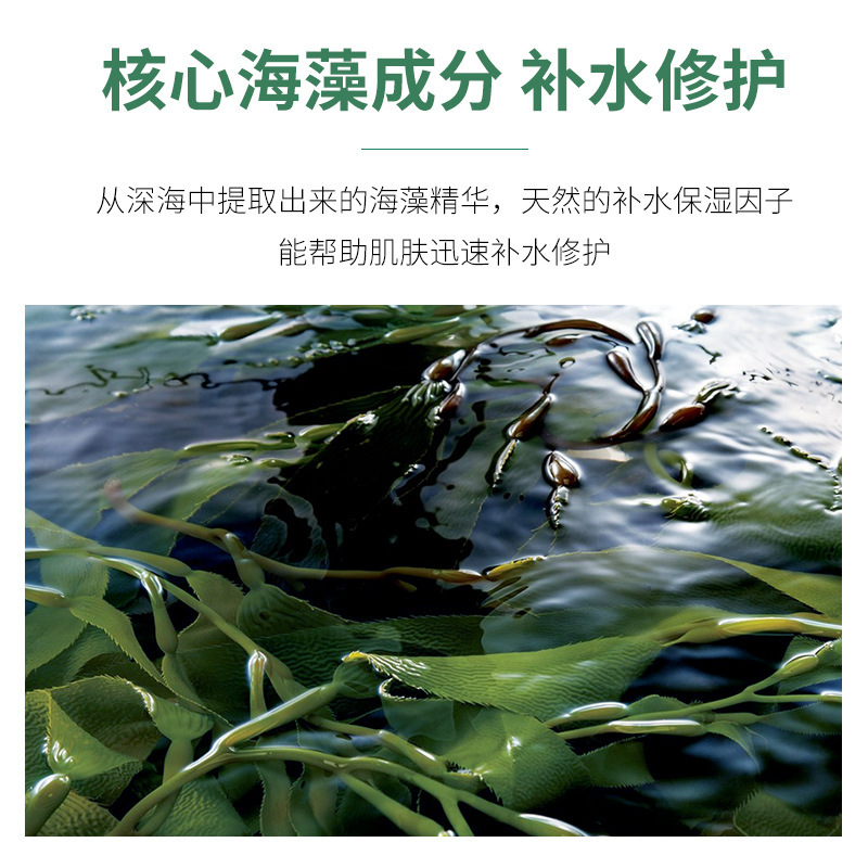 Mặt Nạ Ngủ Tinh Chất Rong Biển Dưỡng Ẩm Làm Sáng Da Hiệu Quả | BigBuy360 - bigbuy360.vn