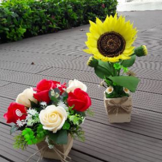 Chậu hoa hồng sáp 7 bông