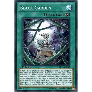 [ Bài Yugioh In ] Synchron Deck 2021 ( Tháng 1 )
