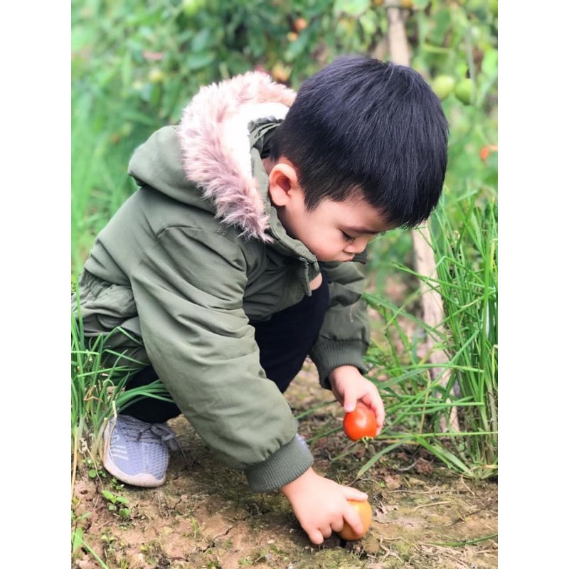 Parka xanh rêu