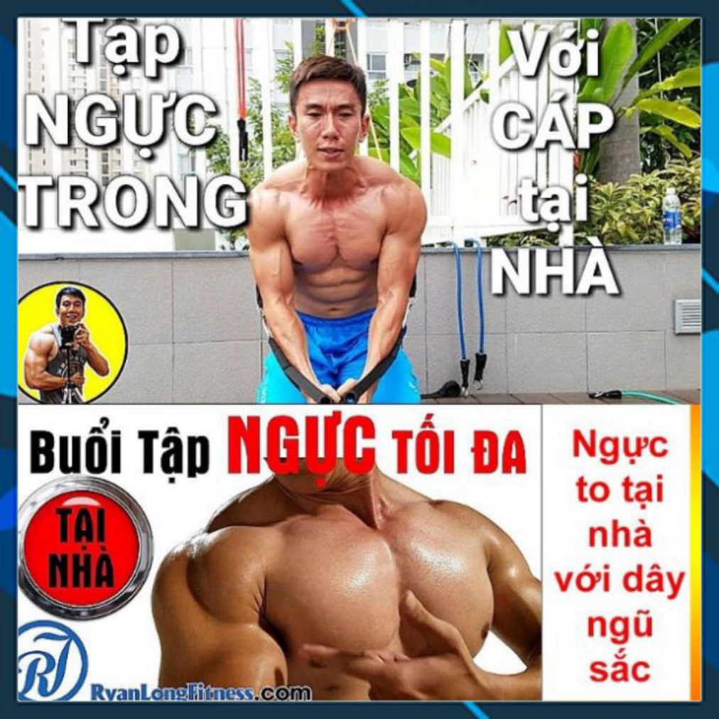 Bộ 5 Dây tập Gym ngũ sắc ,tập gym tập thể hình móc kim loại | (TT65)