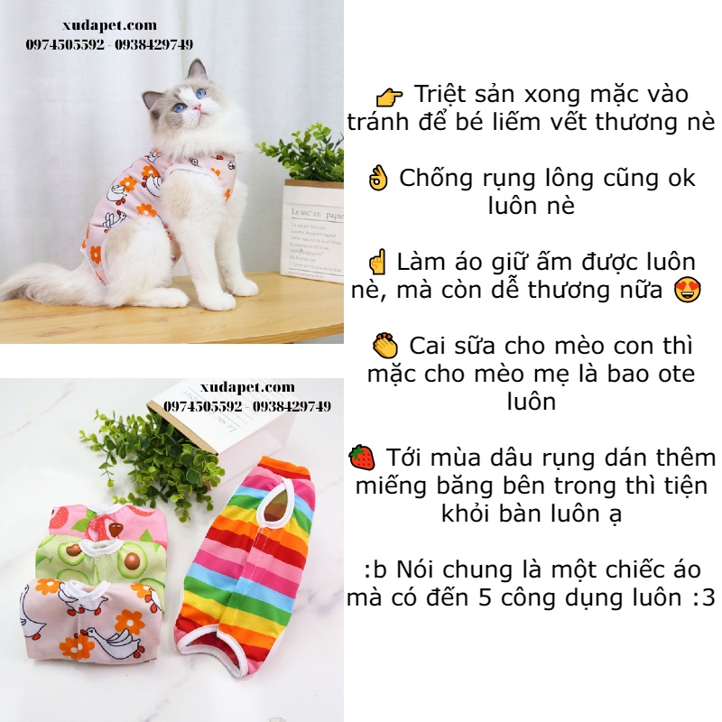 ÁO MẶC CHỐNG CẮN LIẾM VẾT THƯƠNG HẬU TRIỆT SẢN - CAI SỮA - GIẢM RỤNG LÔNG MÈO (MÀU NGẪU NHIÊN) - SP005300