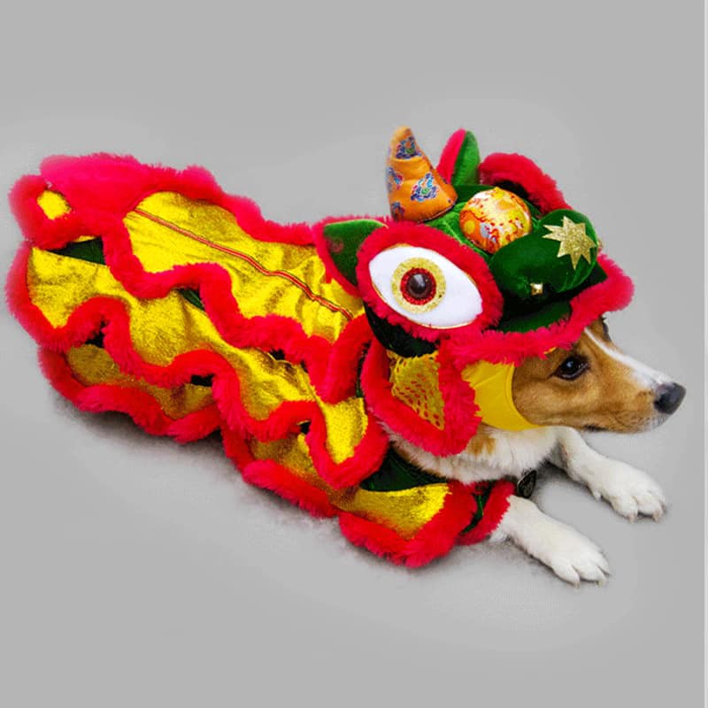 Áo Con Lân cho Chó Mèo (Đầu rời)