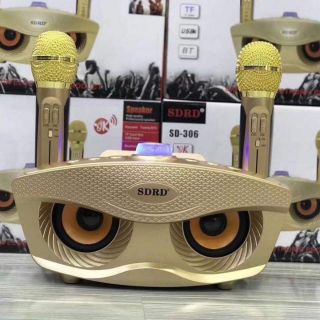 Loa blutooth 2 mic sd306