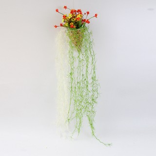 Giỏ treo cây dây leo - Giỏ mây