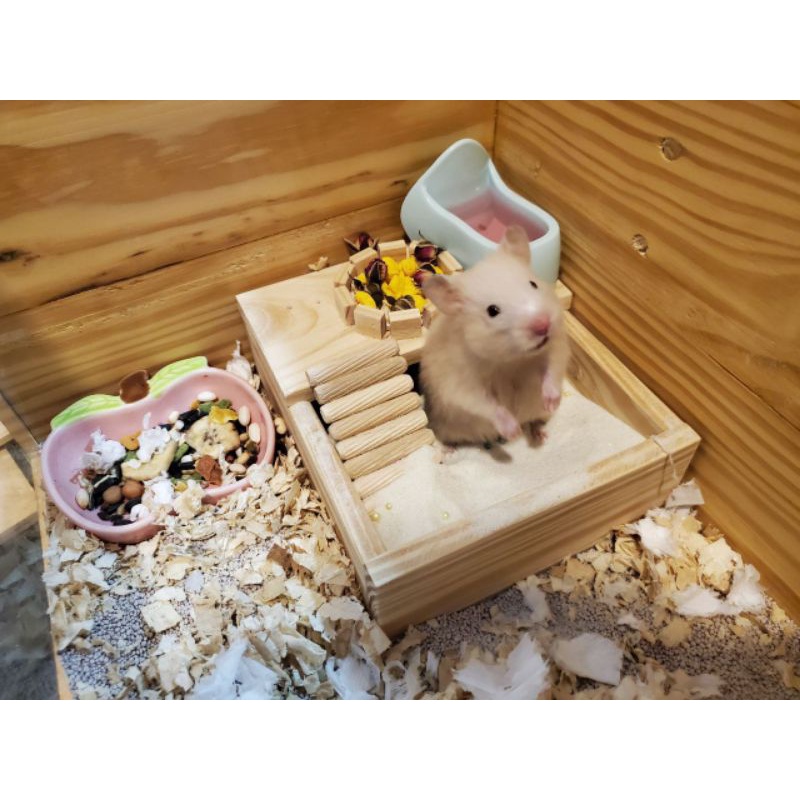 HiBi Home Mô Hình Nhà tắm Bồn tắm Cho Chuột Hamster Bằng Gỗ Chắc Chắn Bền Đẹp Size Nhỏ 15*15*7cm