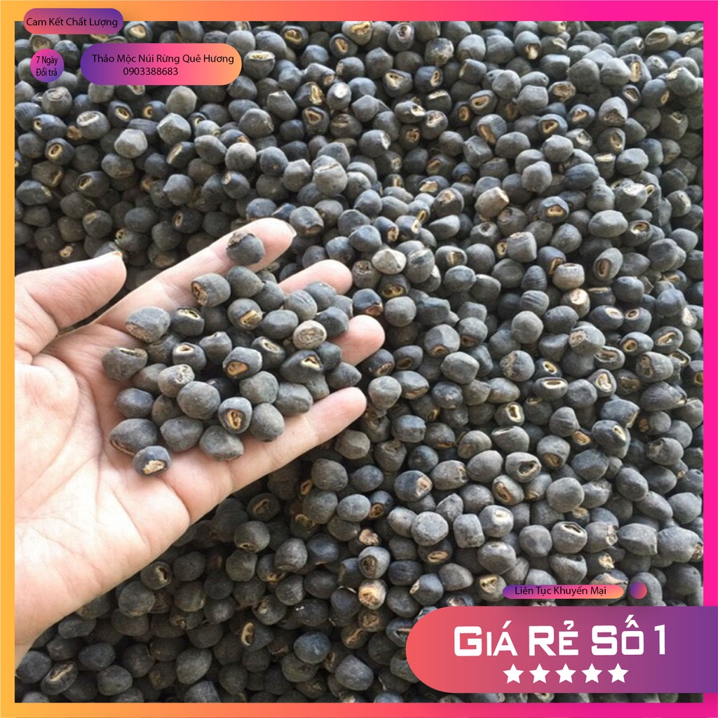 HẠT CHUỐI CÔ ĐƠN NINH THUÂN LỢI TIỂU TỐT CHO NGƯỜI SỎI THẬN