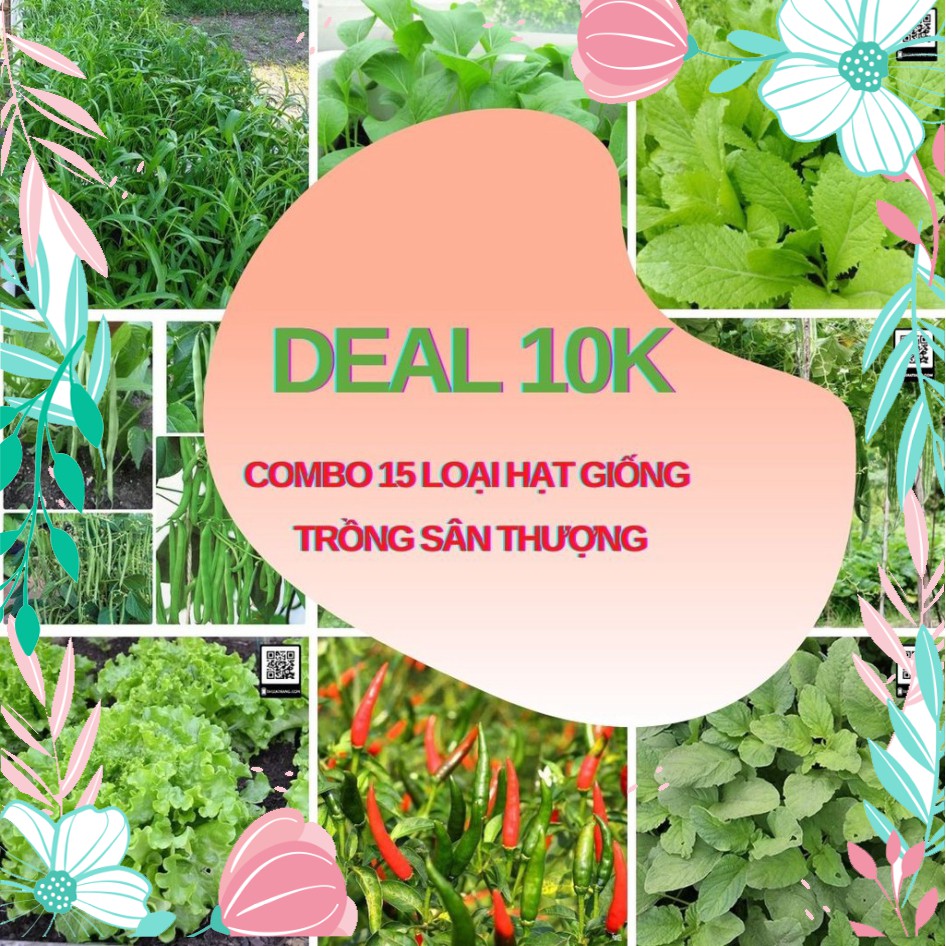 ( SHOP 3 ) ( Hàng sẵn ) Deal 10K - Combo 15 loại hạt giống rau củ quả trồng sân thượng đầy đủ - Tập làm vườn cùng Tạ Gia