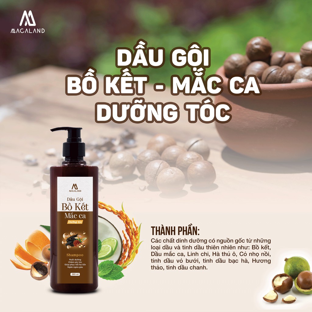 Dầu gội Bồ kết - Dầu xả Mắc Ca 280ml  MACALAND phục hồi mái tóc mềm mượt chắc khoẻ