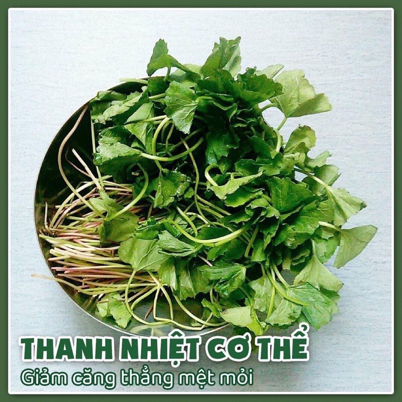 1KG Bột Rau Má Nguyên Chất Đắp Mặt Nạ Ngăn Ngừa Mụn &amp; Làm Dịu Vết Mụn Viêm bảo đảm VSATTP