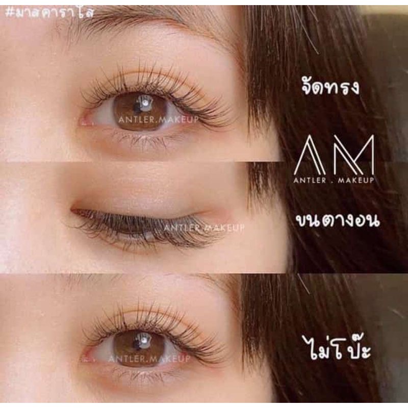 (hàng Mới Về) Mascara Làm Sạch Lông Mi Trong Suốt Phong Cách Thái Lan