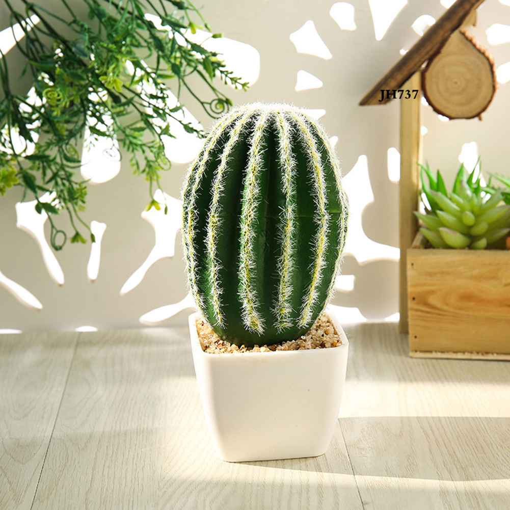 Chậu cây xương rồng giả để trang trí nội thất