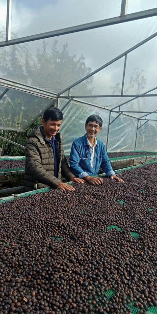 Cà phê sạch dòng Cao Cấp - ROFC ( Hương vị đậm đà)