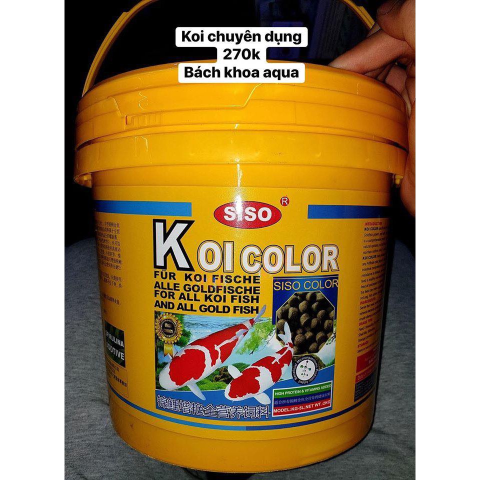 Thức ăn Koi Color chuyên cho cá koi cao cấp thùng 2kg bachkhoaqua999