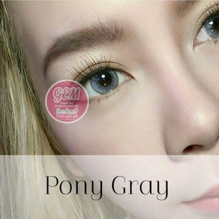 kính áp tròng - pony gray lens