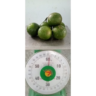 [CHỈ GIAO TP.HCM] Cam Sành Tam Bình-Vĩnh Long