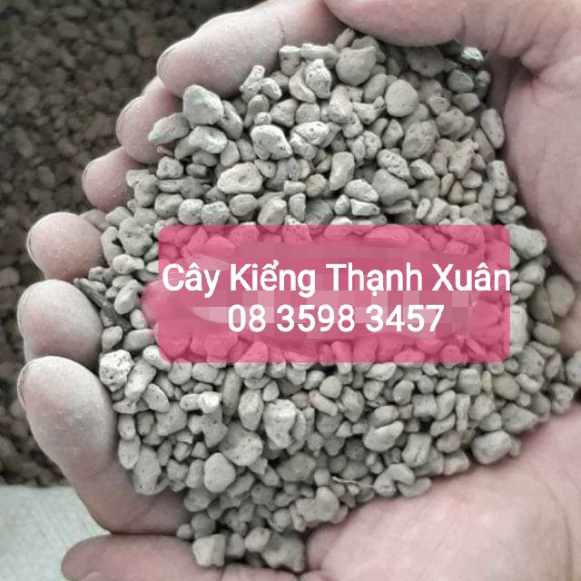 Đá Pumice giúp đất thoát nước tốt, thích hợp trồng sen đá, Xương rồng, Địa Lan, Phong Lan (Bịch 500 gam) size 5-8mm