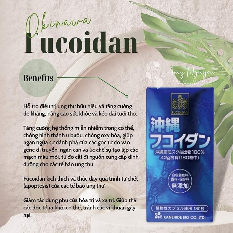Viên Uống Hỗ Trợ Giảm Nguy Cơ Ung Thư Okinawa Fucoidan Nội Địa Nhật Bản 180 viên - SAKUKO