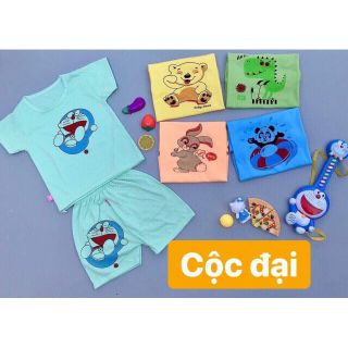 Set 5 bộ cộc tay in hình size đại