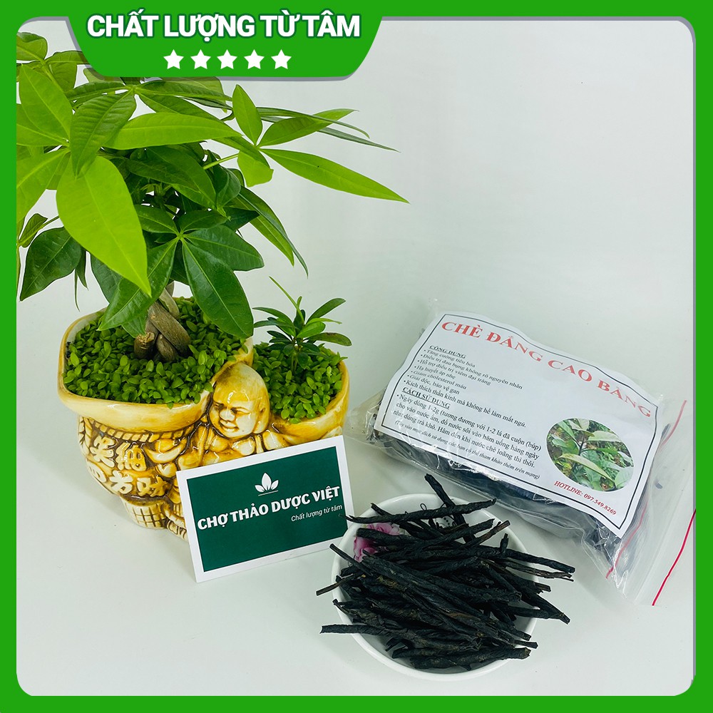 Chè đắng khô 100g (Trà đắng đặc sản Cao Bằng thơm ngon) - Chợ Thảo Dược Việt