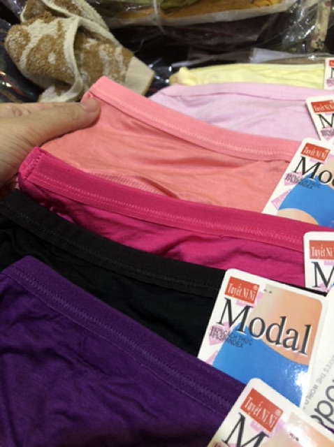 Combo 5 Quần lót thun cotton bigsize LO2