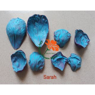 Gân hoa Mẫu Đơn Sarah