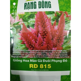 Hạt giống Hoa Mào gà đuôi phụng đỏ ❤️FREESHIP XTRA❤️