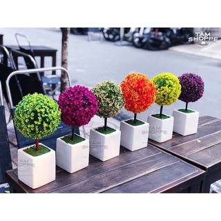 Chậu hoa nhỏ để bàn Cẩm tú cầu giả
