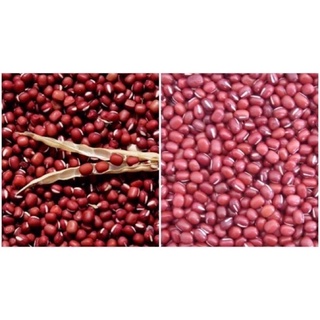 Đậu đỏ Bình Định 500gram